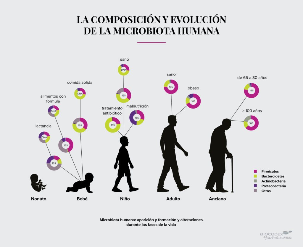 evolucion de lka microbiota humana