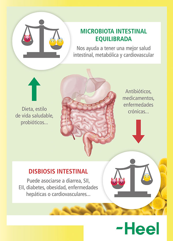 flora intestinal danada heelprobiotics heelespana