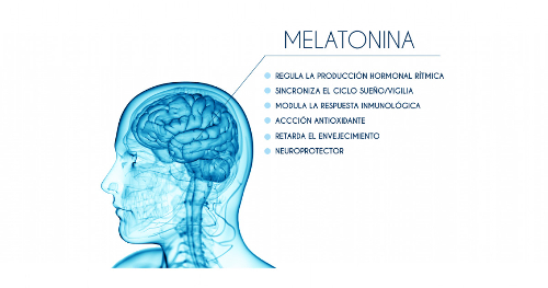 melatonina hormona social