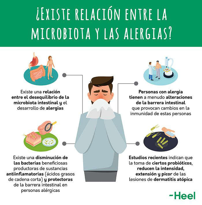 microbiota alergia